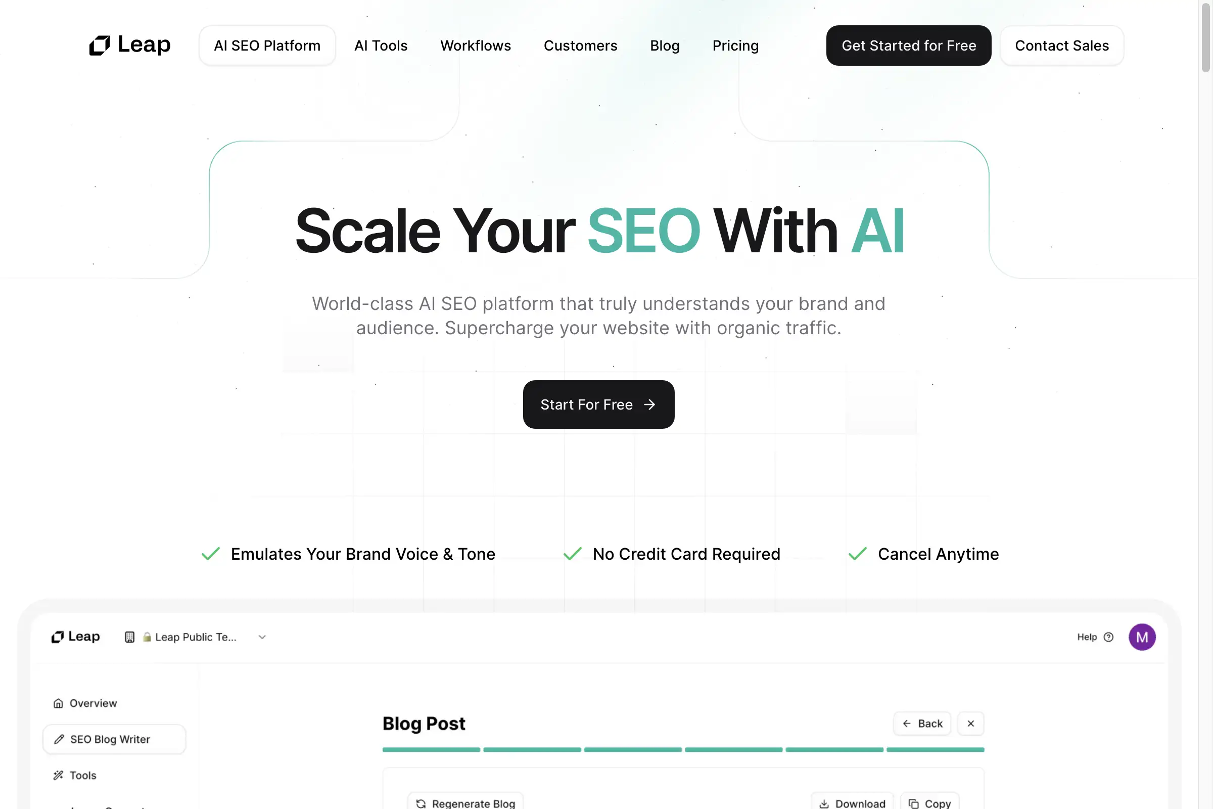 AI SEO Platform